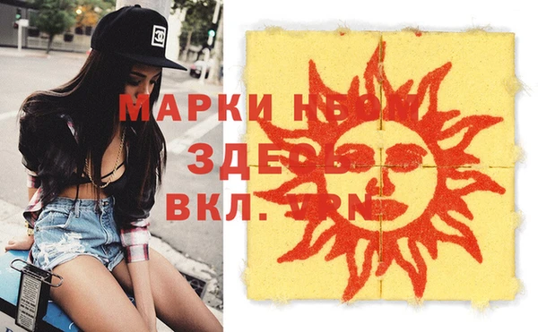 сатива Аркадак
