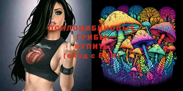 сатива Аркадак
