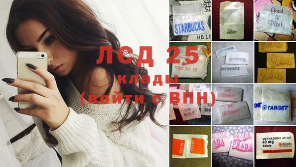 сатива Аркадак