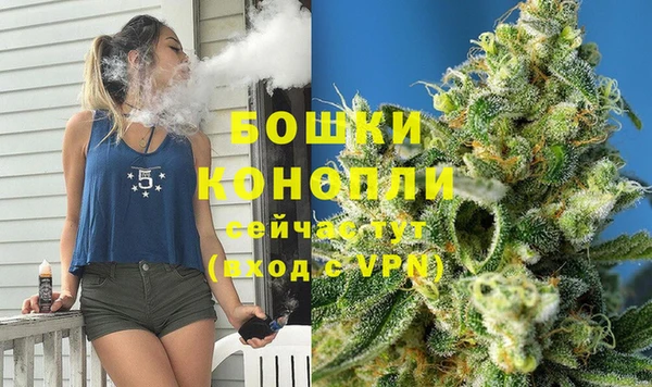 сатива Аркадак