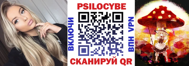 Псилоцибиновые грибы мухоморы где купить наркотик Курлово